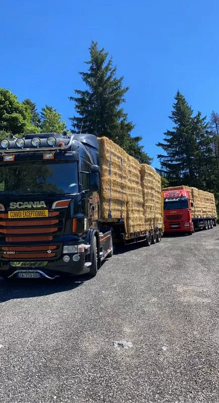 Transport de marchandise, Saint-Flour, SARL Gueniot